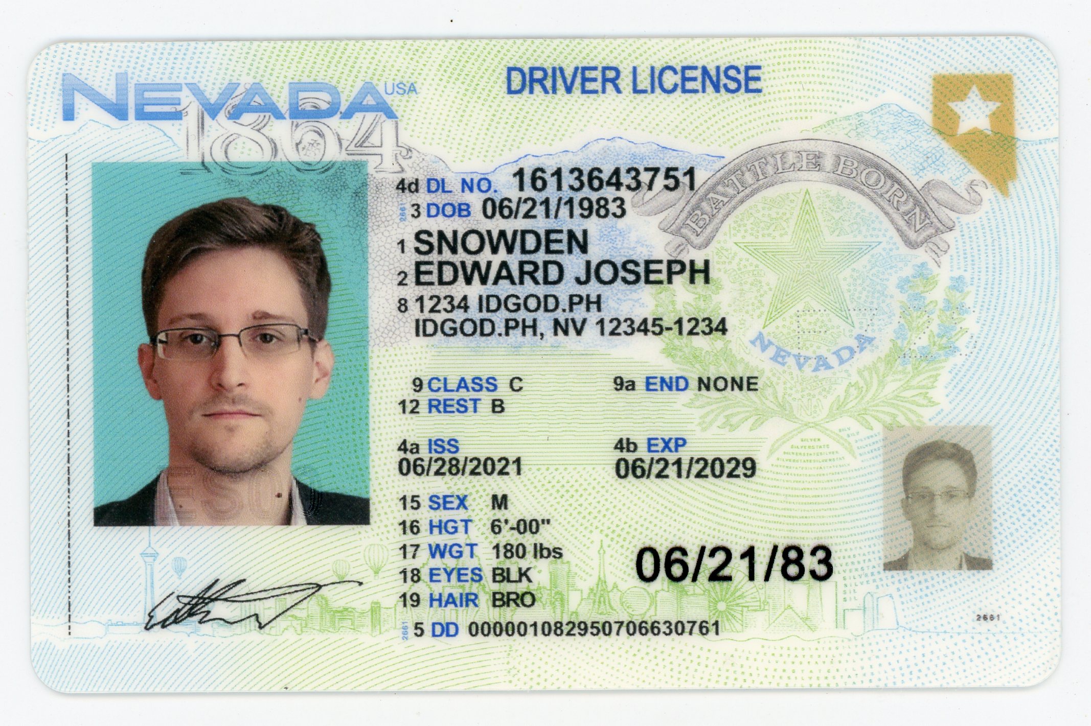 Nevada Fake ID