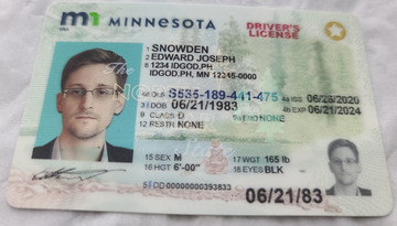 Minnesota Fake ID