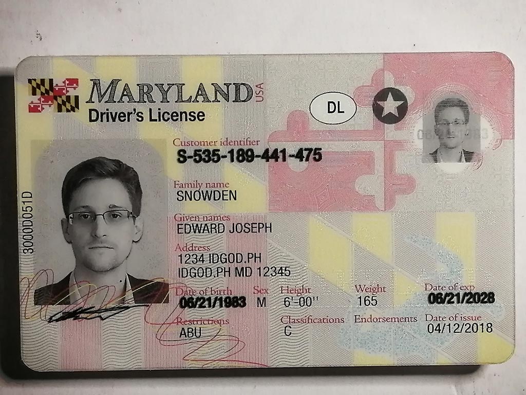 Maryland Fake ID